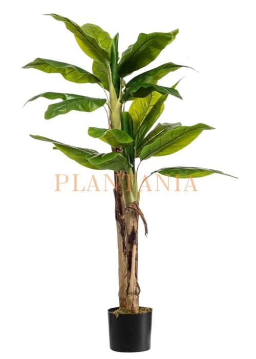Plante artificielle - PLANTANIA - Bananier - 170 cm - 3 tiges - Vert