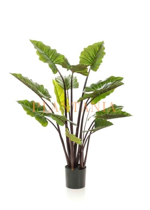 Plante artificielle - PLANTANIA - Alocassia - 130 cm - Vert bordeau - Réaliste