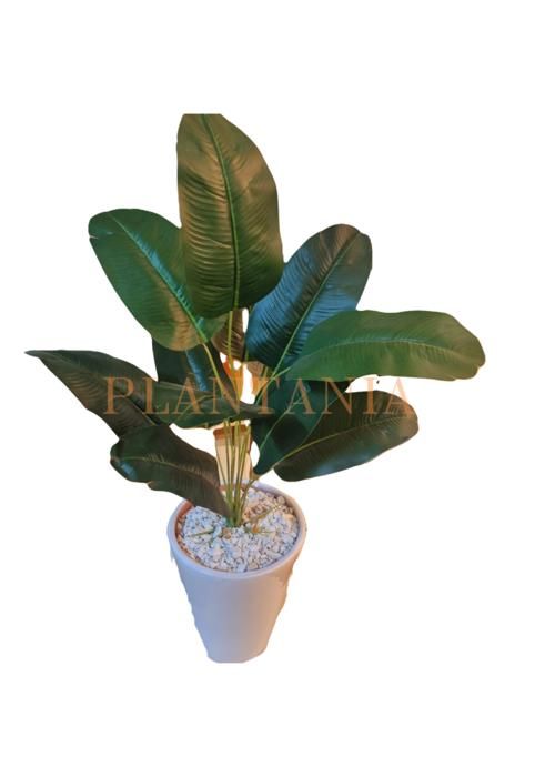 Plante Artificielle - PLANTANIA - 65 cm - Vert - Sans entretien - Décorative