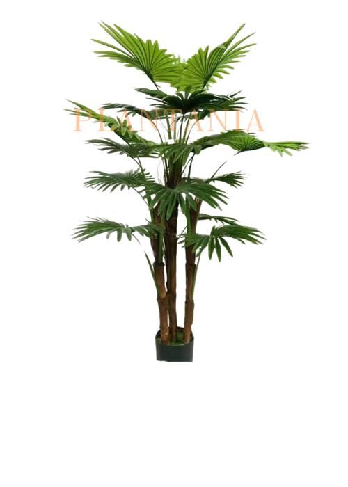 Plante artificielle - PLANTANIA - Palmier 160 cm - 18 feuilles - Réaliste - Intérieur