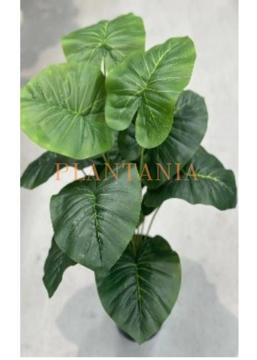 Plante artificielle - PLANTANIA - 65 cm - Vert  - Entretien facile - Sans pot