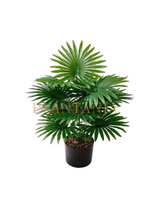 Plante artificielle,  65 cm-sans pot.