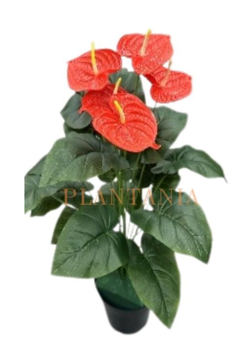Plante artificielle - PLANTANIA - Anthurium rouge - 85 cm - Sans pot - Décoration intérieure