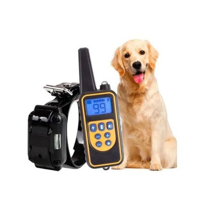 Collier de dressage électrique - MARQUE - 800m - Imperméable - Rechargeable - Sécurisé