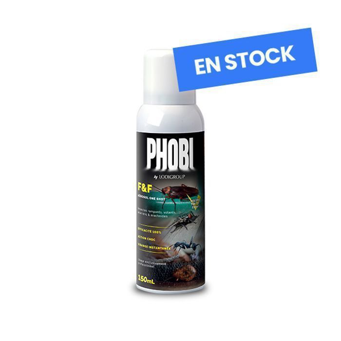 PHOBI  Aérosol Insectes Rampants et volants, Cafards et Fourmis, 150ml, Insecticide