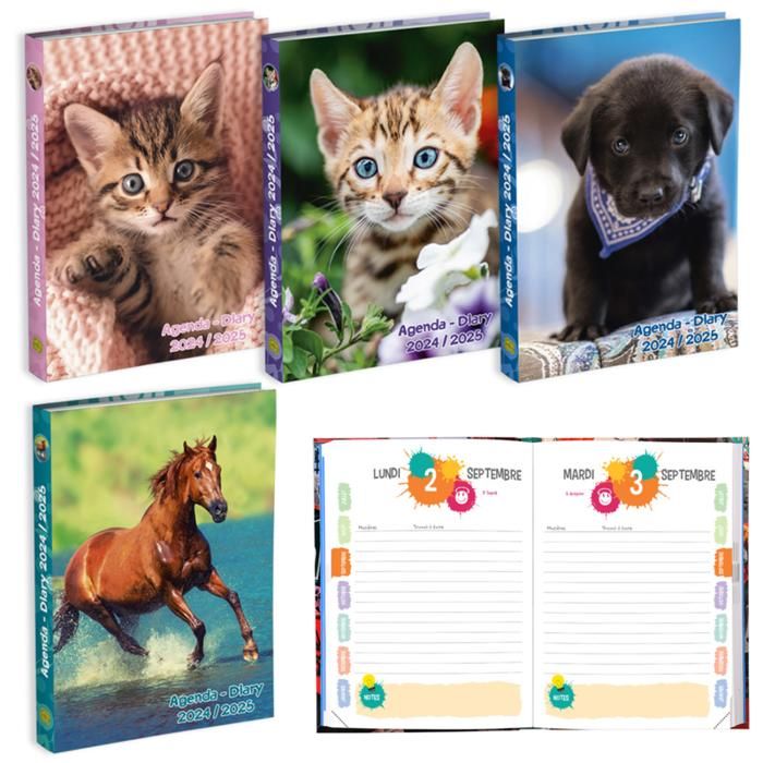 AGENDA SCOLAIRE 120X170 1J/P ANI.D