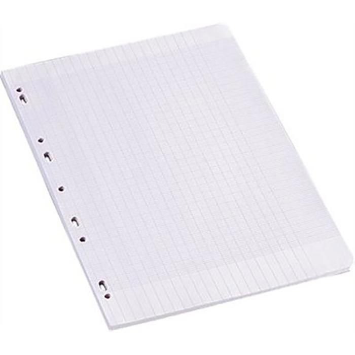 Feuilles - Double Blanche - 80 Pages - 21x29,7 cm - Quadrillage 10x10