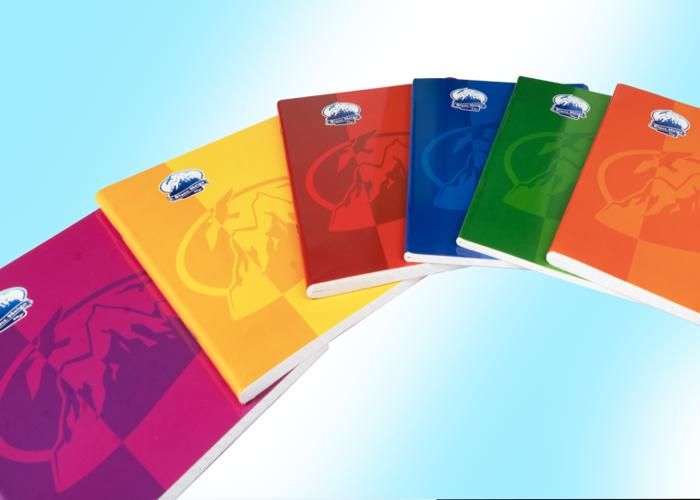 Cahier Piqué - 48PAGES -modèle aléatoire