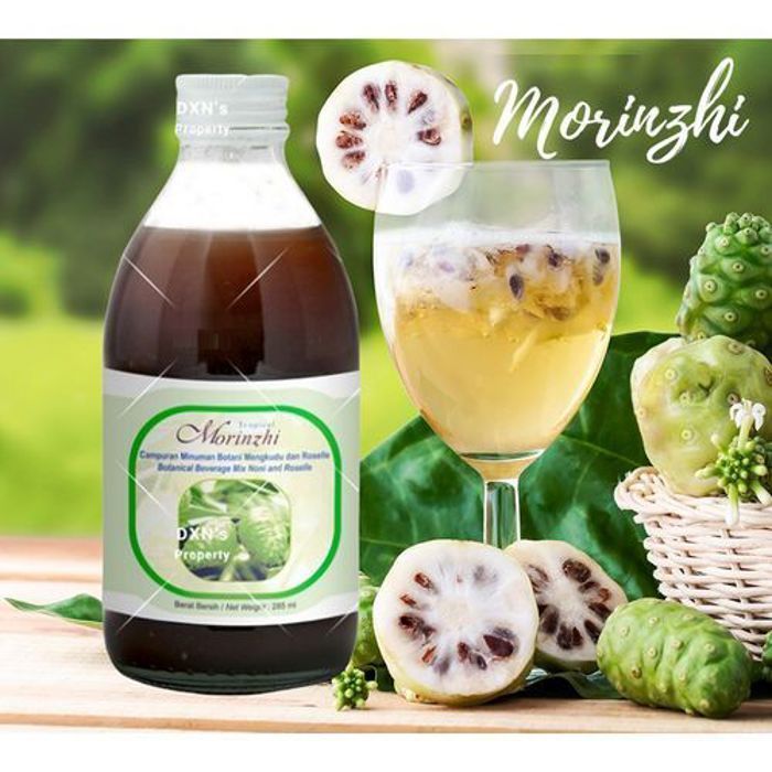 Dxn Boisson au jus de Noni - Morinzhi