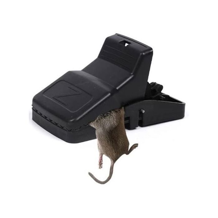Attrape souris   piège à souris