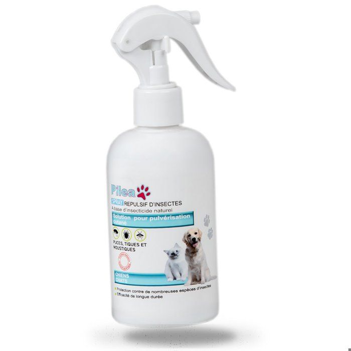 PILEA REPULSIVE D'INSECTS 250ml