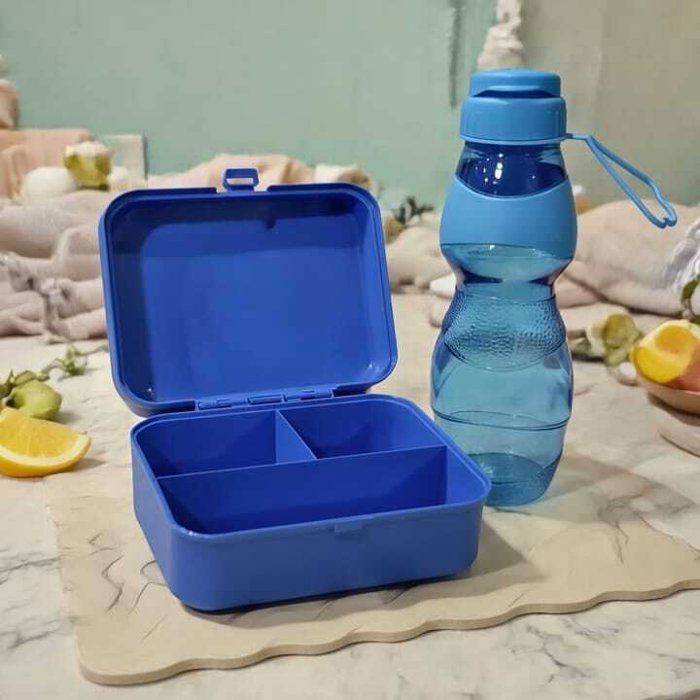 Pack Lunch Box- 2compartiments inox  -Bouteille 600mL – Plastique alimentaire -vert-,Compact et Pratique