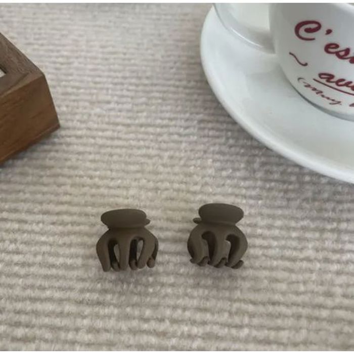 Petites Pinces à Cheveux à Griffes pour Cheveux