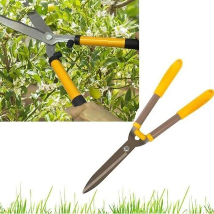 Ciseaux à long manche pour jardin, herbes, plantes et branches