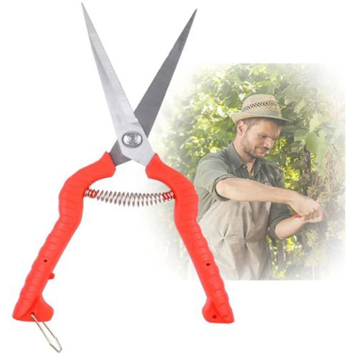 Ciseaux de taille de jardin, ciseaux de taille de plantes et de taille de fleurs