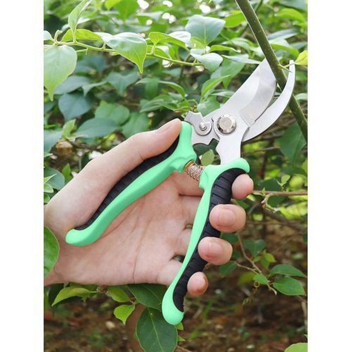 Ciseaux de jardin multifonctionnel