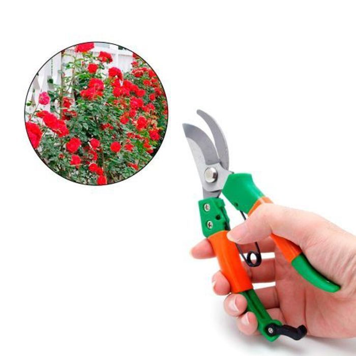 Ciseaux de jardin,Outils de sécateur à main plantes de jardin