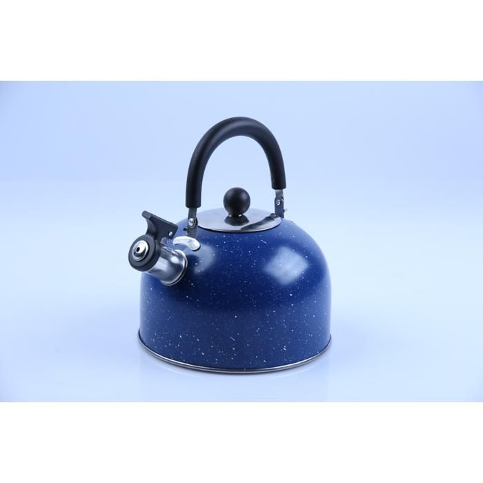 bouilloire inox 3l coul  assortis