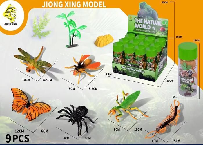 Insectes 12 en conserve KC716-1