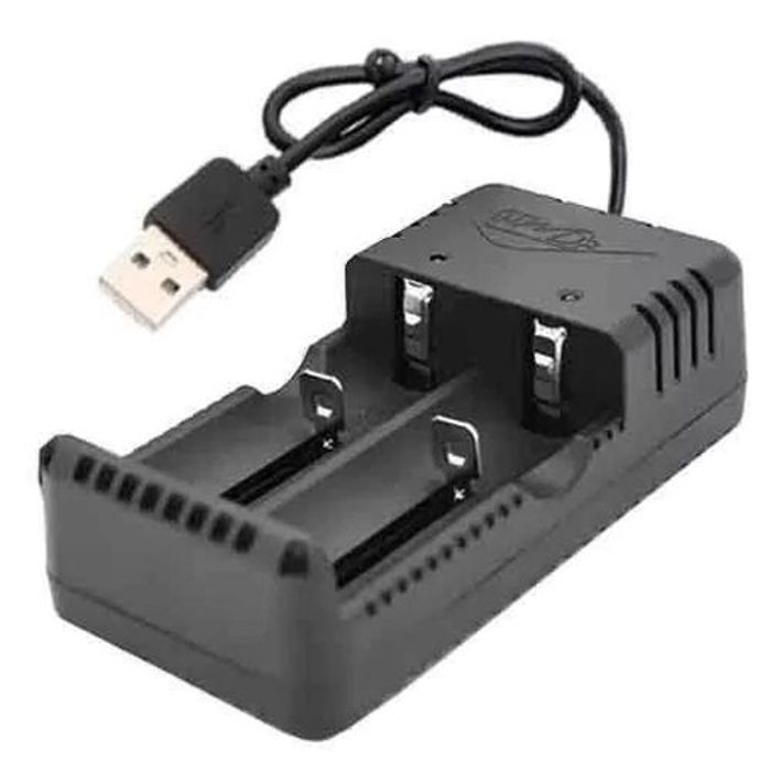 Chargeur de Piles / Batterie Chargeur USB ,2 emplacement