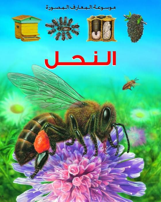 Encyclopédie illustrée du savoir : les abeilles