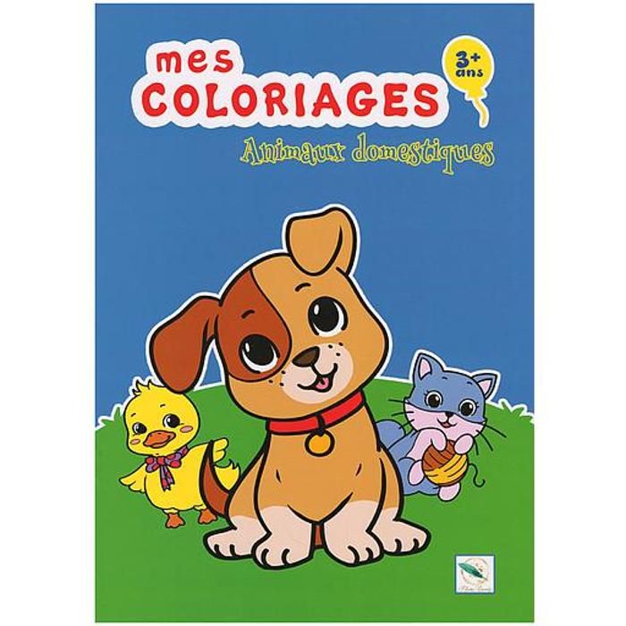 Livre de Coloriage-ANIMAUX DOMESTIQUES - MES COLORIAGES
