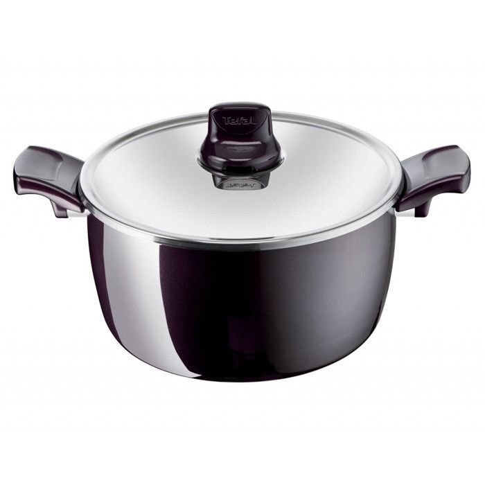 Faitout 26Cm Expertise Premium Tefal