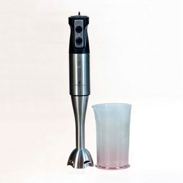 hofmaan Mixeur plongeant/Hand Blender 2 en 1, Acier Inoxydable, 200W En inox