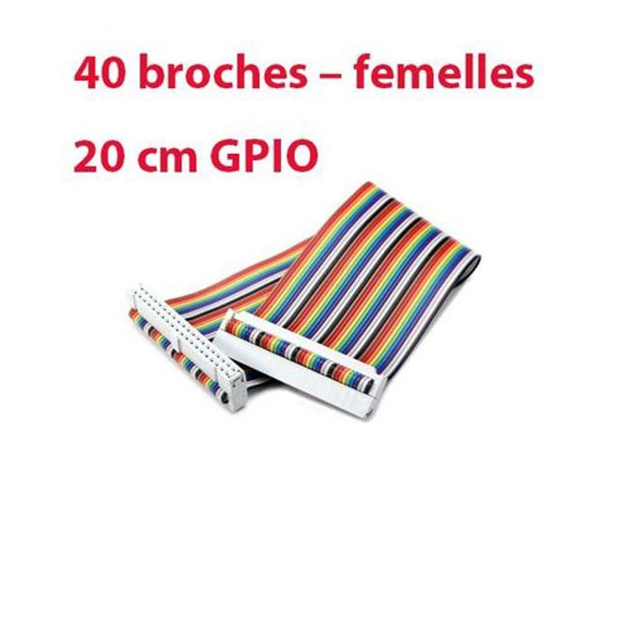 Nappe 40 broches – femelles, 20 cm GPIO