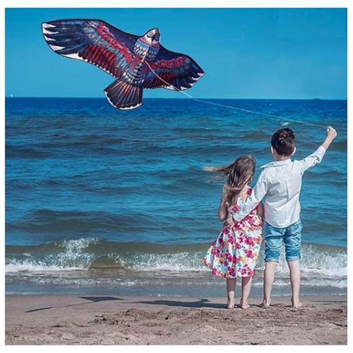 Cerfs-Volants Pour Enfants et Adultes Faciles à Piloter 117 x 95 Cm