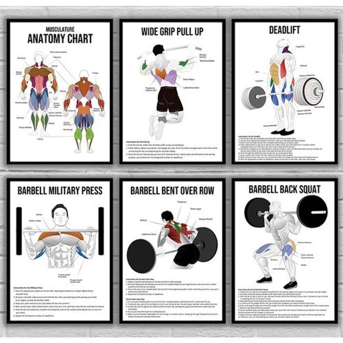 Decoration 6 Poster Exercise Anatomy Diagrams Deadlift Weightlifting Painting