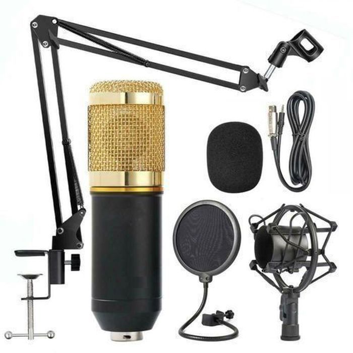 BM-800 Professional Broadcasting Studio Recording Condenser Microphone Mic Kit