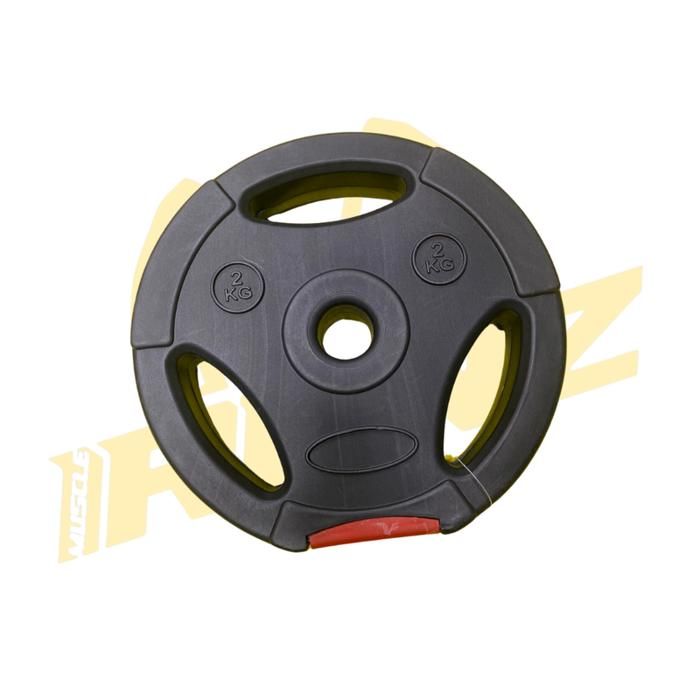 DISQUE PLASTIQUE 2KG