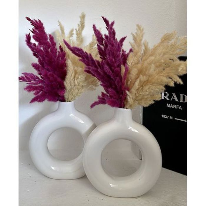 Deux vases Céramique avec pampas gratuit