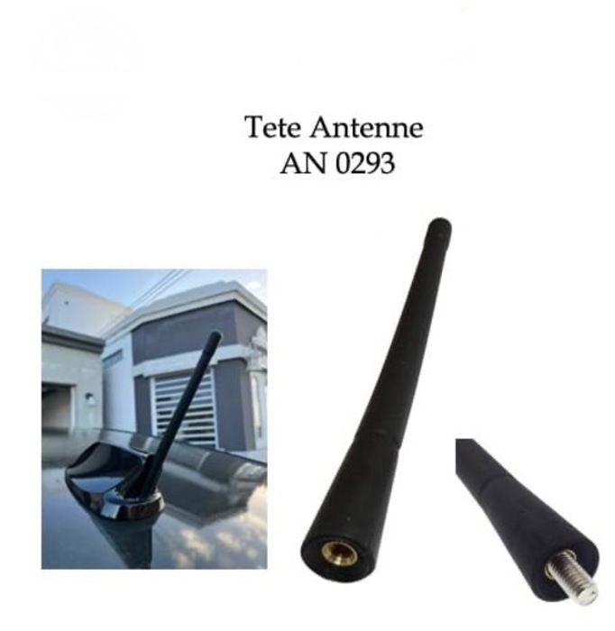Antenne de toit pour voiture AN 0293