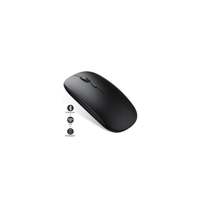 Souris sans fil Rechargeable Bluetooth, ergonomique Mini Usb, 2.4Ghz silencieux