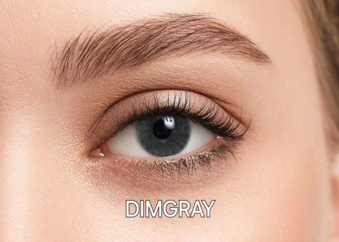 FRESHVUE  LENSES - Lentilles DIMGRAY