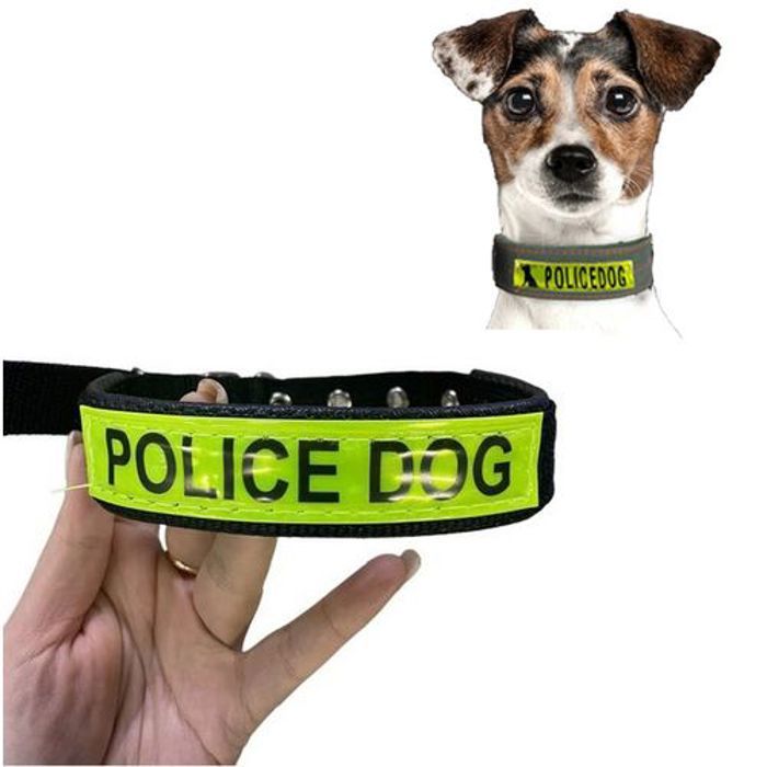 Collier pour Petits et moyens chiens en nylon solide, Collier de chien