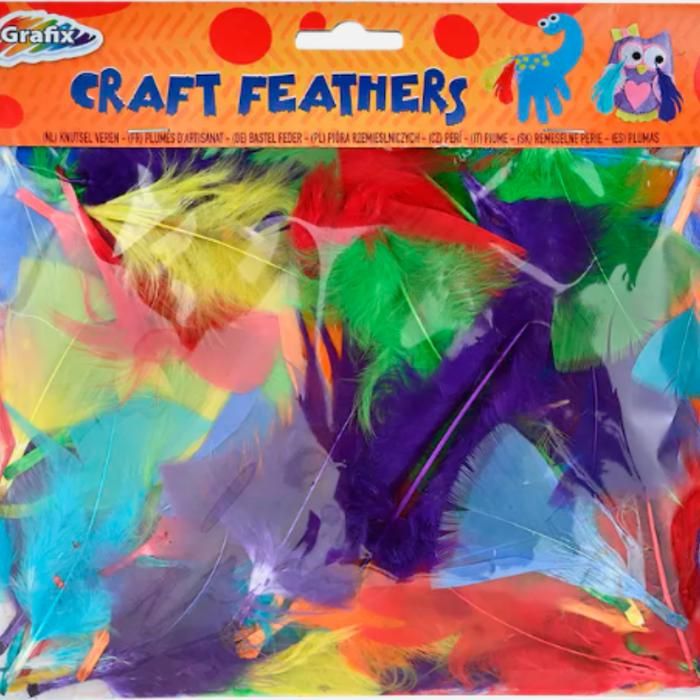 Plumes pour créations - GENERIC - Multicolore - 60 pièces - Idéal pour DIY - Mixte