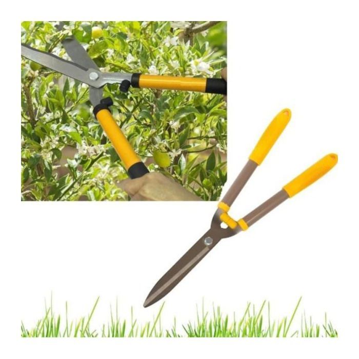 Sécateur à long manche pour branches de jardin
