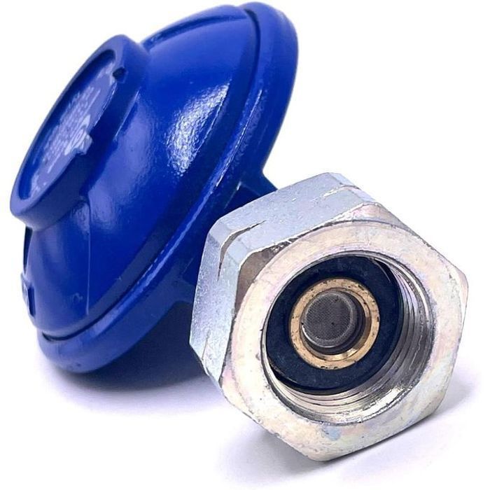 Régulateur de gaz ajustable bm 2 pour une pression de gaz sécurisée.