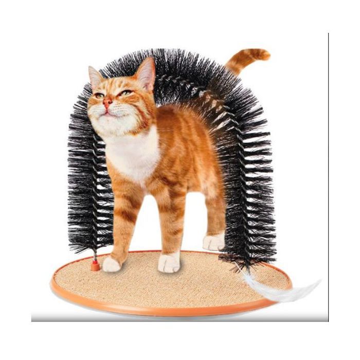 Jouets pour chat arche massage pour chat avec base polaire ronde