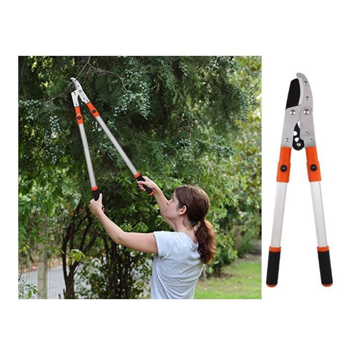 Coupe branche telescopique robuste, cisaille de jardin extensible professionnel