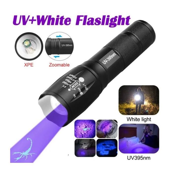Lampe UV Portable – Détection Scorpions et Traces d’Urine