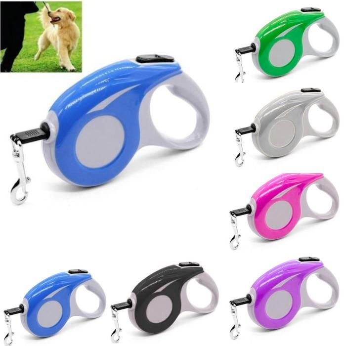 Laisse pour chien rétractable 5m, corde de traction pour animaux de compagnie