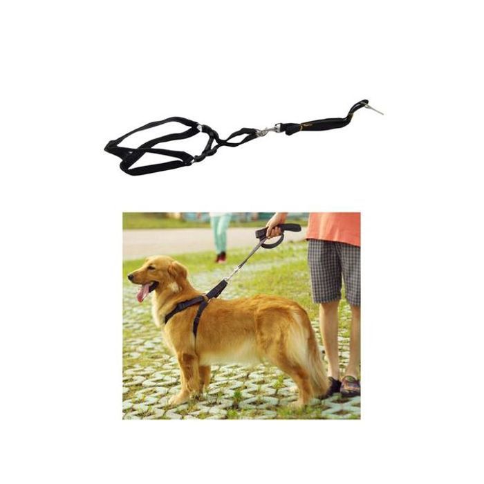 Ensemble ceinture et laisse de course en nylon pour chiens