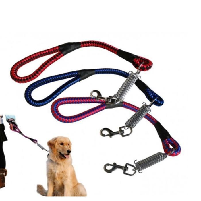 Ceinture réfléchissante pour chiens, courte, antidéflagrante, laisse chiens, corde en plomb, une étape, chaîne