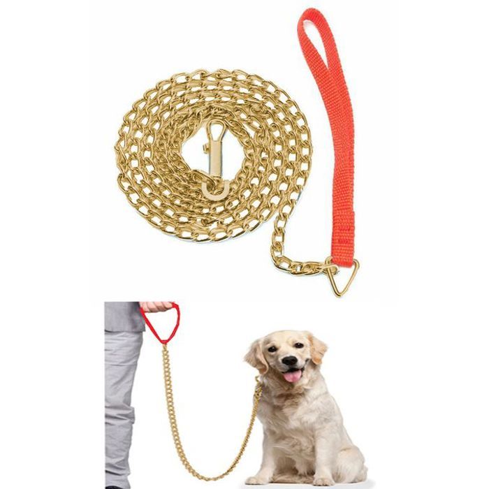 Laisse de chien en chaîne métallique réglable or 1m