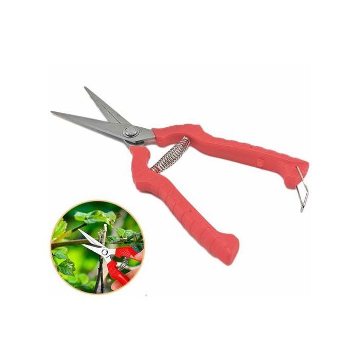 Outils de taille de jardinage pour plantes et fleurs