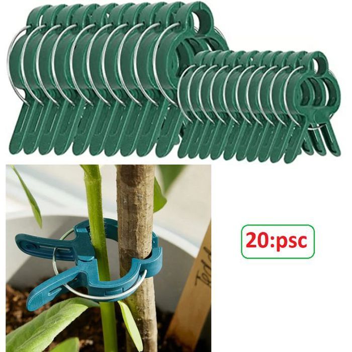 Pinces pour plantes grimpantes